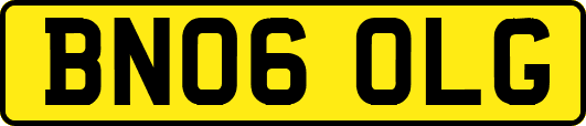BN06OLG