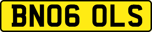 BN06OLS