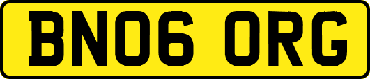 BN06ORG