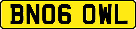 BN06OWL