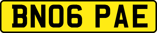 BN06PAE