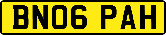 BN06PAH