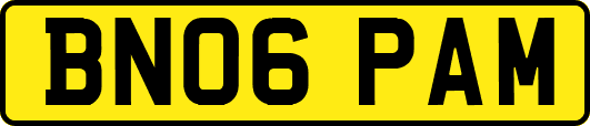 BN06PAM