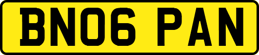 BN06PAN