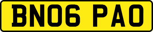 BN06PAO