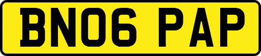 BN06PAP