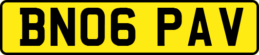 BN06PAV