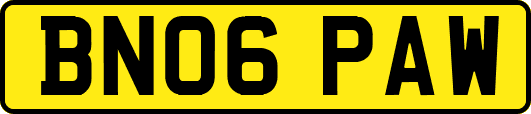 BN06PAW