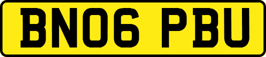 BN06PBU