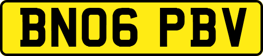BN06PBV