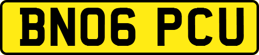 BN06PCU
