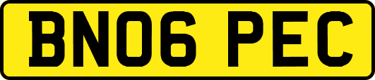 BN06PEC