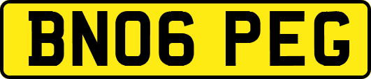 BN06PEG