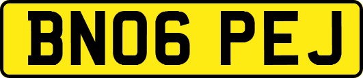 BN06PEJ