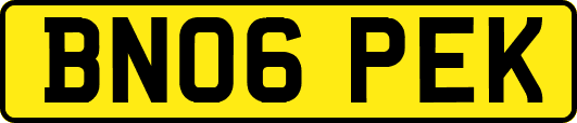 BN06PEK