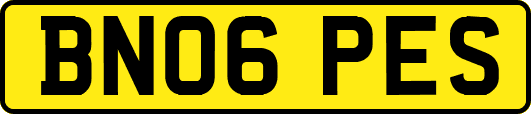 BN06PES