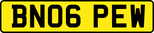 BN06PEW