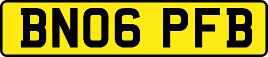 BN06PFB