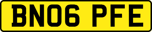 BN06PFE