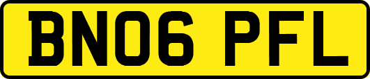 BN06PFL