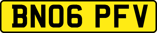 BN06PFV