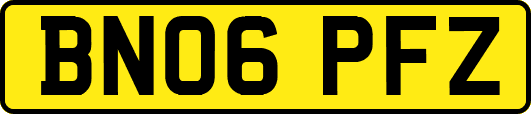 BN06PFZ