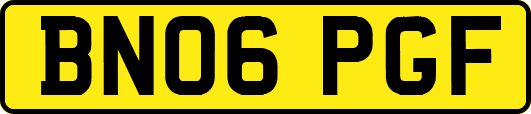 BN06PGF