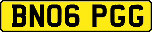 BN06PGG