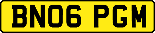 BN06PGM