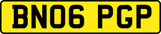 BN06PGP