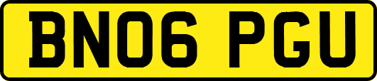 BN06PGU