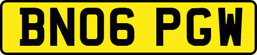 BN06PGW