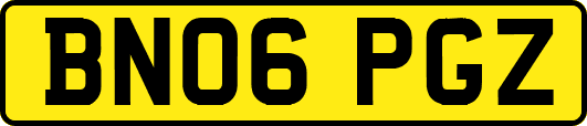 BN06PGZ