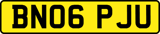 BN06PJU