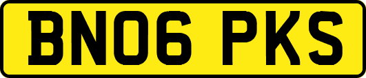 BN06PKS