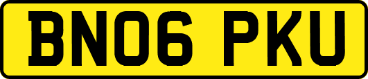 BN06PKU