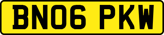 BN06PKW