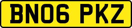 BN06PKZ