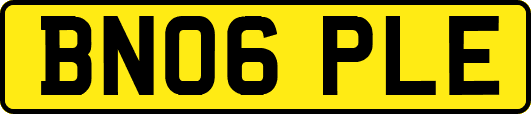 BN06PLE