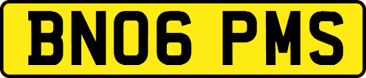 BN06PMS