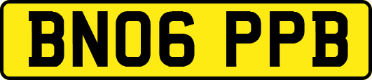 BN06PPB