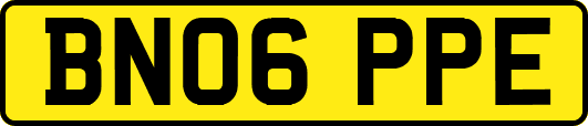 BN06PPE