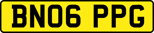 BN06PPG