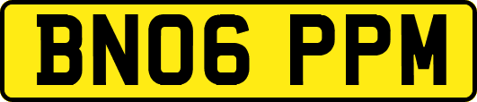 BN06PPM