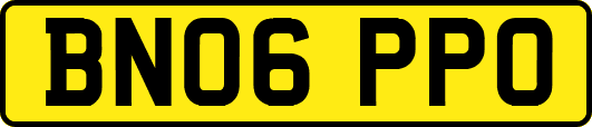 BN06PPO