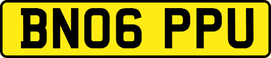 BN06PPU