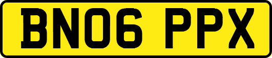 BN06PPX