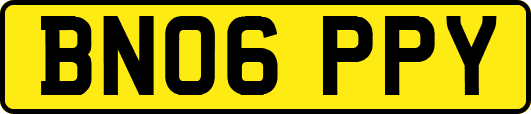 BN06PPY
