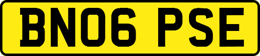 BN06PSE