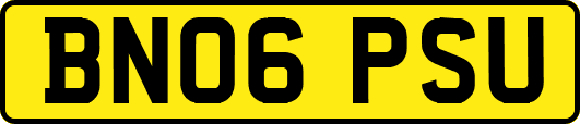 BN06PSU